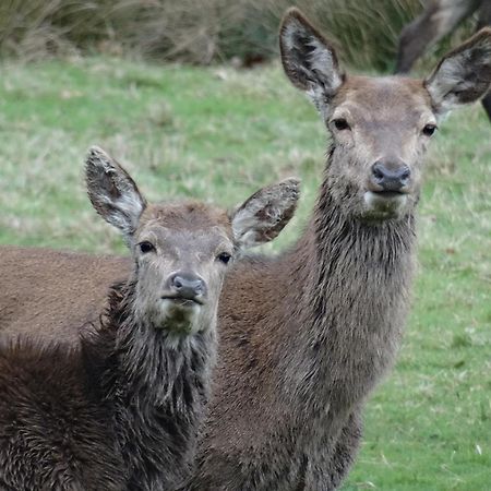 Exmoor Bnb In Withypool On Two Moors Way 外观 照片