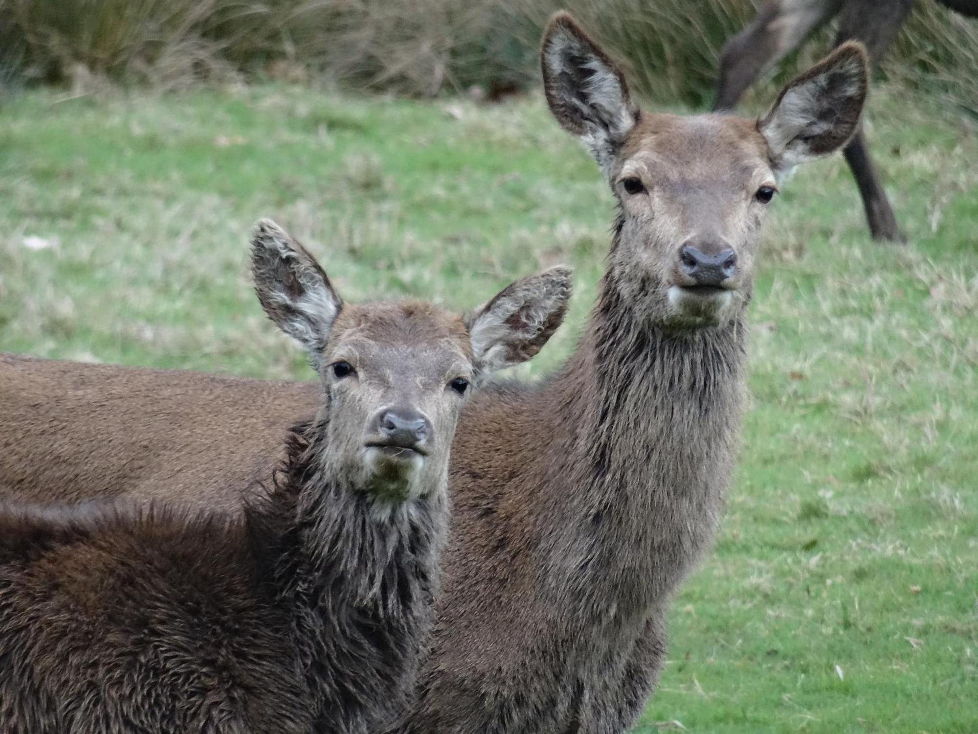 Exmoor Bnb In Withypool On Two Moors Way 外观 照片