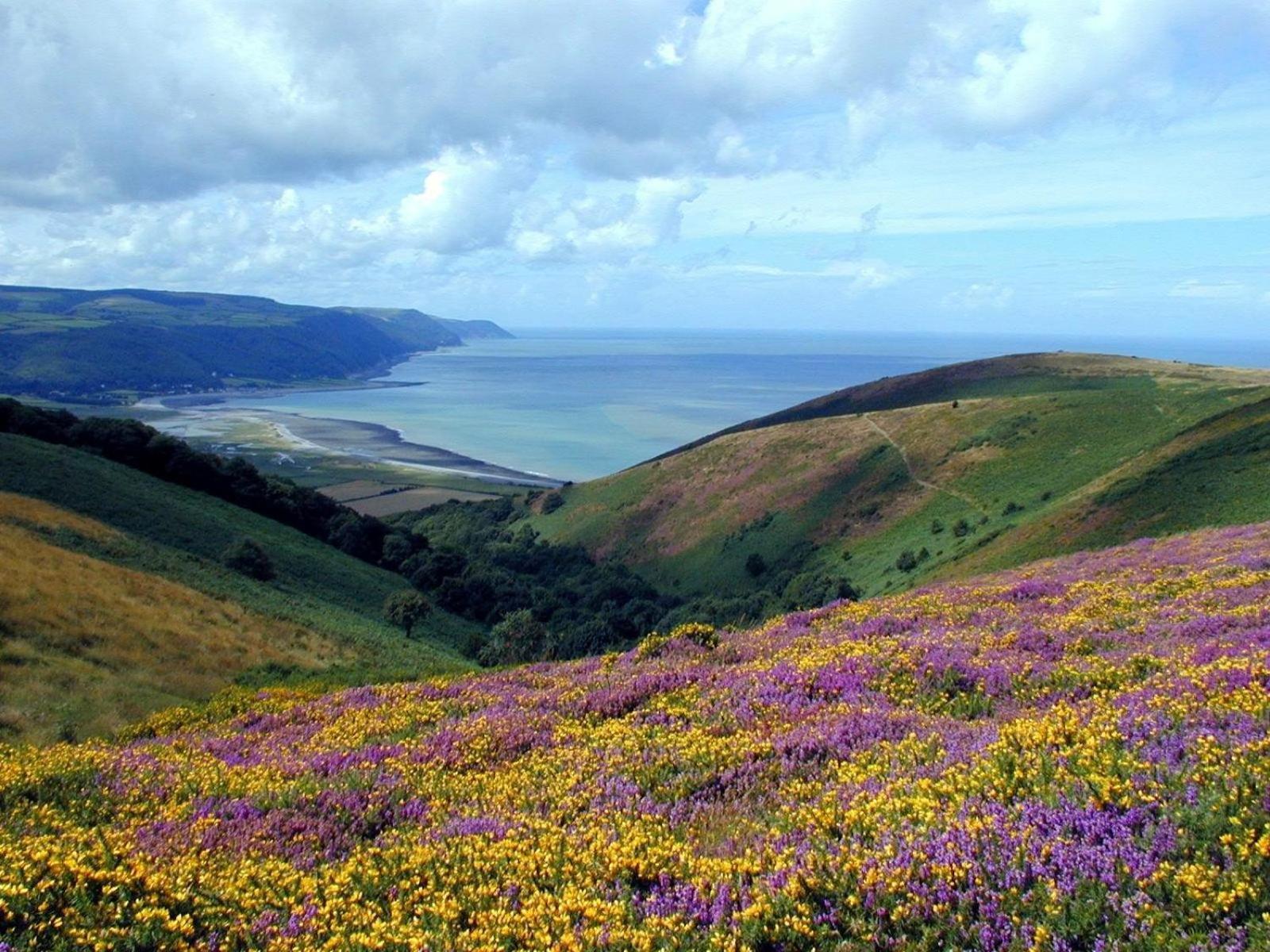 Exmoor Bnb In Withypool On Two Moors Way 外观 照片