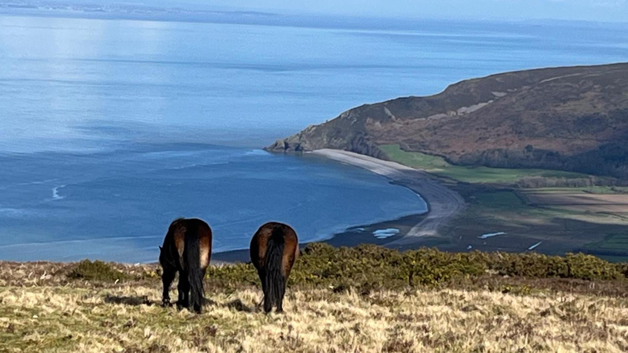Exmoor Bnb In Withypool On Two Moors Way 外观 照片